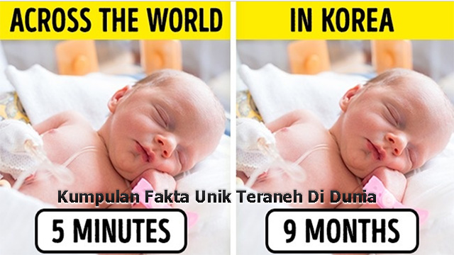 Unik Teraneh Di Dunia