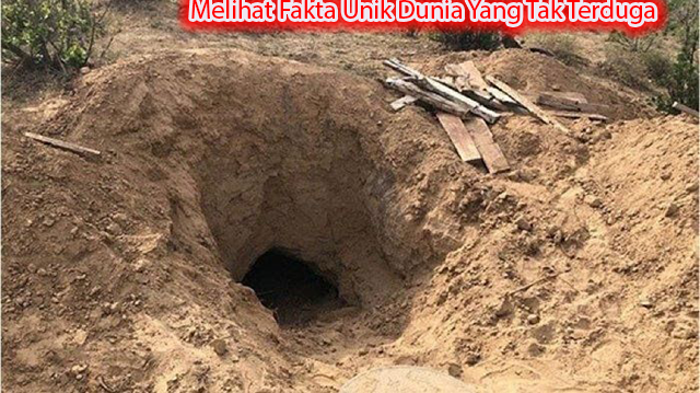 Melihat Fakta Unik Dunia Yang Tak Terduga Melihat Fakta Unik Dunia Yang Tak Terduga