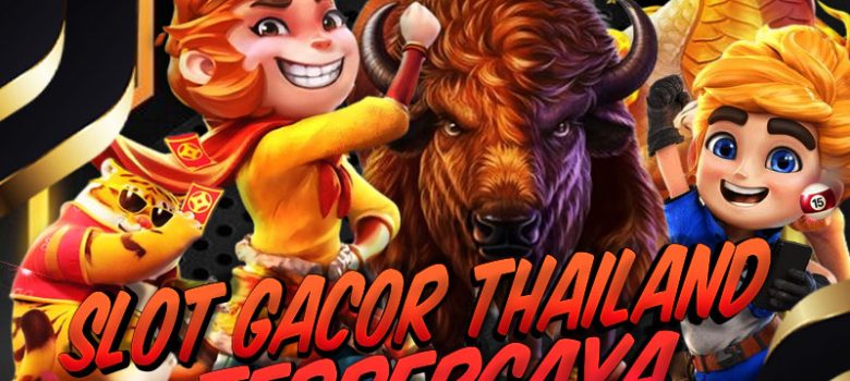Tips Profesional untuk Menang Besar di Slot Thailand Terbaik